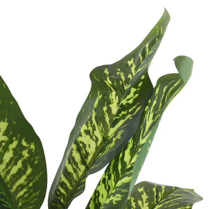 Artificial Dieffenbachia Plant for Home Décor – Realistic Indoor Plant (With Pot, 5.5 Feet)