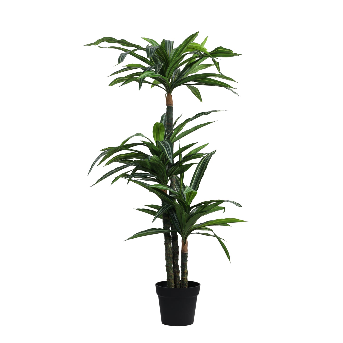 Artificial Variegated Dracaena Plant – With Pot (5 Feet)
