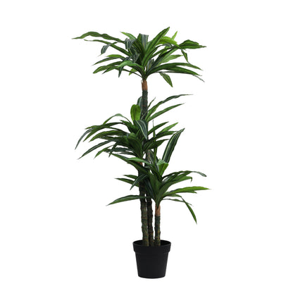 Artificial Variegated Dracaena Plant – With Pot (5 Feet)