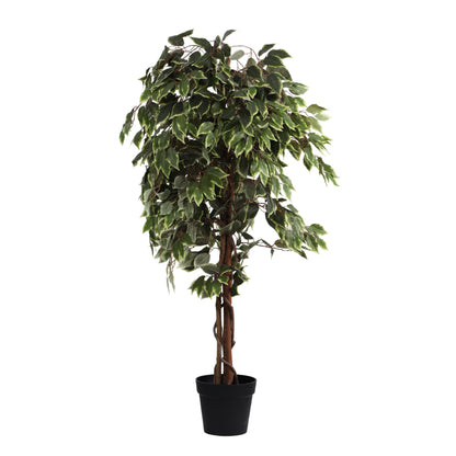 Artificial Variegated Ficus Plant – With Pot (5 Feet)