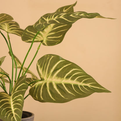 Artificial Potted Syngonium Plant – With Pot (1.5 Feet, 12 Leaves)