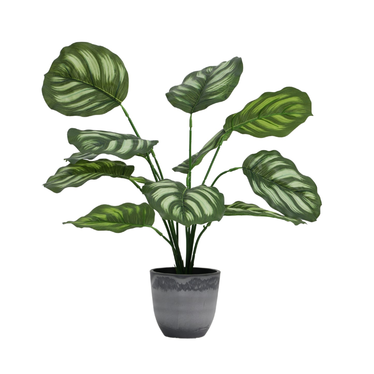 Artificial Potted Pothos Plant for Home Décor – Realistic Indoor Plant (With Pot, 1.5 Feet, 12 Leaves)