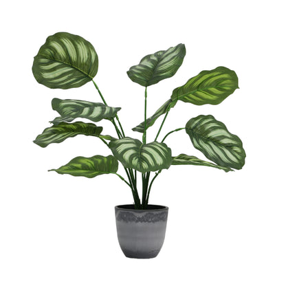 Artificial Potted Pothos Plant for Home Décor – Realistic Indoor Plant (With Pot, 1.5 Feet, 12 Leaves)