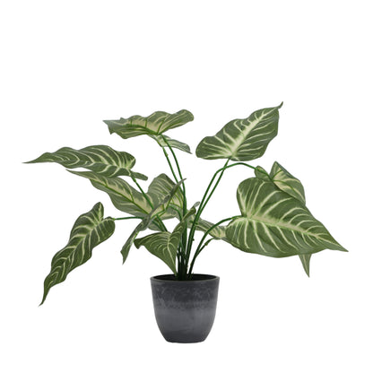 Artificial Potted Syngonium Plant – With Pot (1.5 Feet, 12 Leaves)