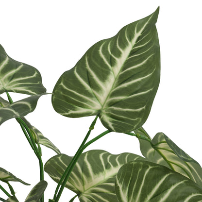 Artificial Potted Syngonium Plant – With Pot (1.5 Feet, 12 Leaves)