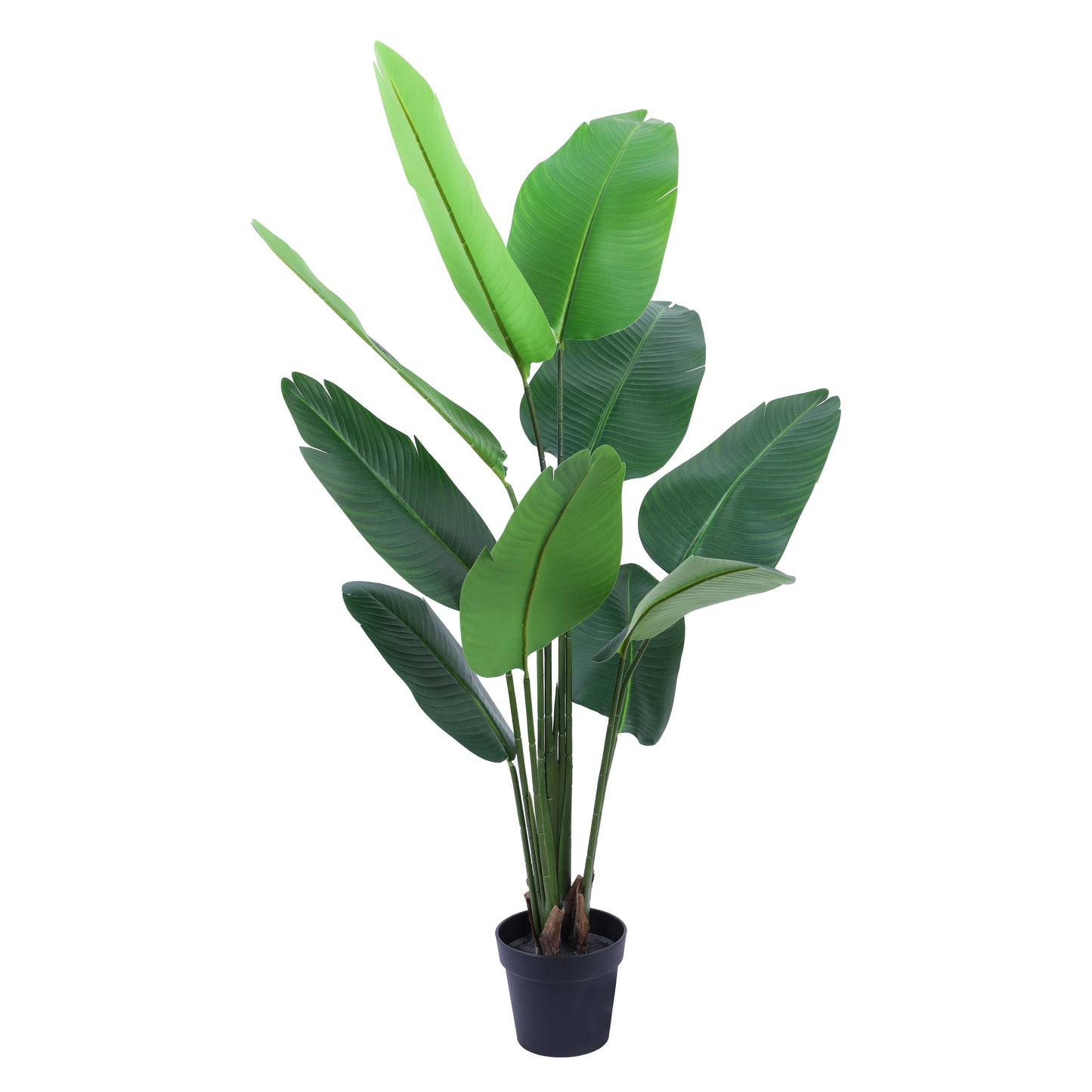 Artificial Banana Plant in Black Pot (5.2 Feet)