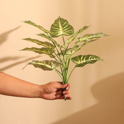 Artificial Syngonium Plant – Without Pot (1.5 Feet, 12 Leaves, Set of 2)