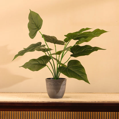 Artificial Potted Green Plant for Home Décor – Realistic Indoor Plant (With Pot, 1.5 Feet, 12 Leaves)