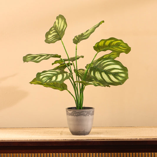 Artificial Potted Pothos Plant for Home Décor – Realistic Indoor Plant (With Pot, 1.5 Feet, 12 Leaves)