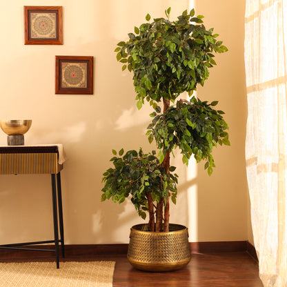 Artificial Green Ficus Bonsai for Home Décor – Realistic Indoor Plant (With Pot, 5.5 Feet)