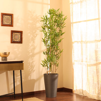 Artificial Bamboo Plant – Set of 5 Sticks – With Pot (5 Feet)