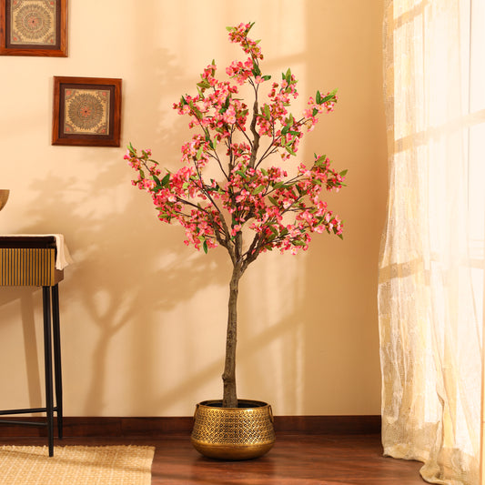 Cherry Blossom Plant – With Pot (5 Feet, Pink)