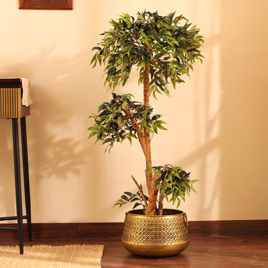 Artificial Green Ficus Bonsai Plant – With Pot (4 Feet)