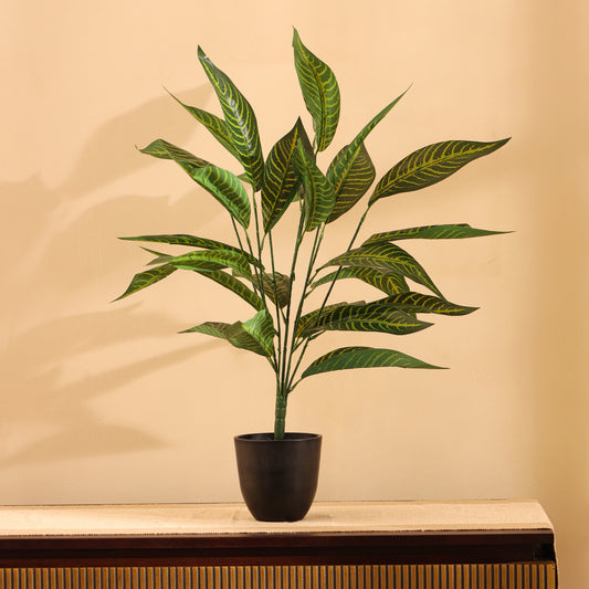 Artificial Potted Green Croton for Home Décor – Realistic Indoor Plant (With Pot, 2 Feet, 26 Leaves)