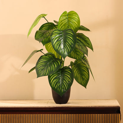 Artificial Potted Money Plant for Home Décor – Realistic Indoor Plant (With Pot, 2 Feet, 18 Leaves)