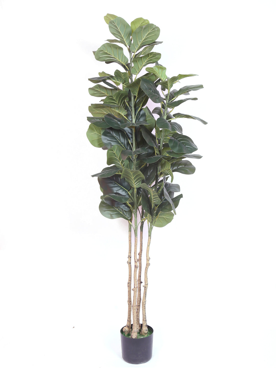 Premium 6 Feet Faux Fiddle Leaf Fig Plant with Pot- Premium Artificial Plant for Home and Office Decor