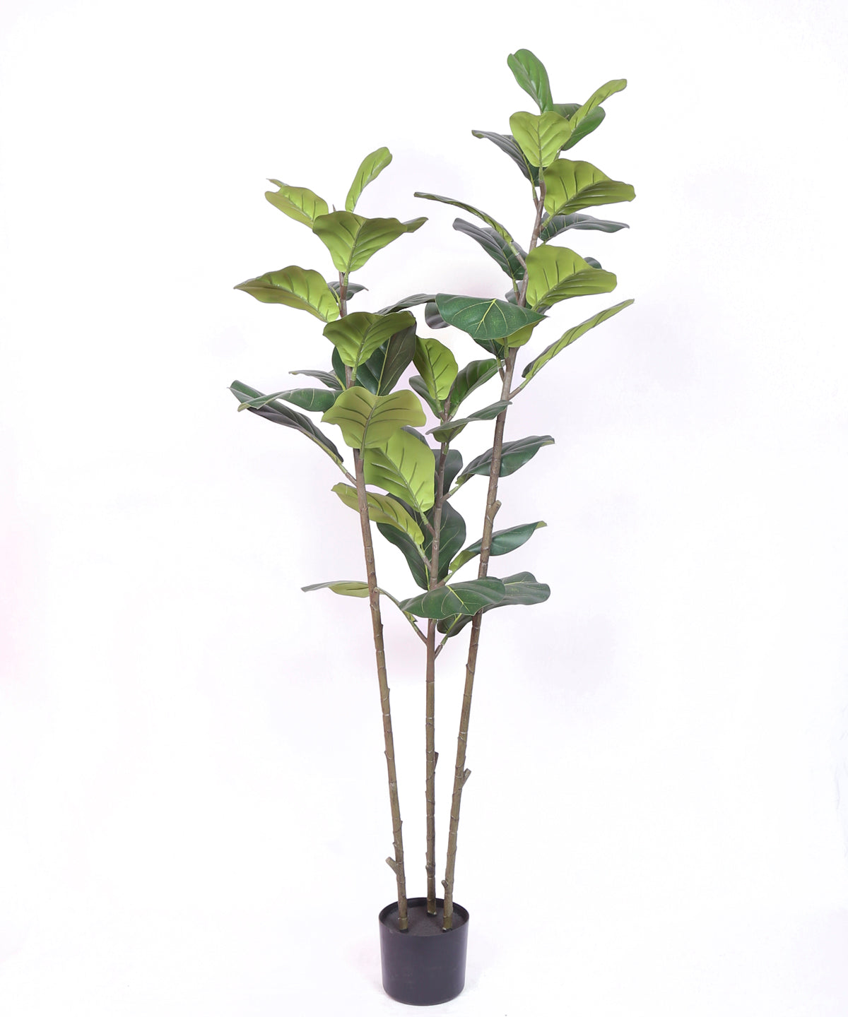 Premium 5 Feet Artificial Fiddle Leaf Fig Plant with Pot- Luxe Faux Plant for Home and Office Decor for indoor and outdoor use