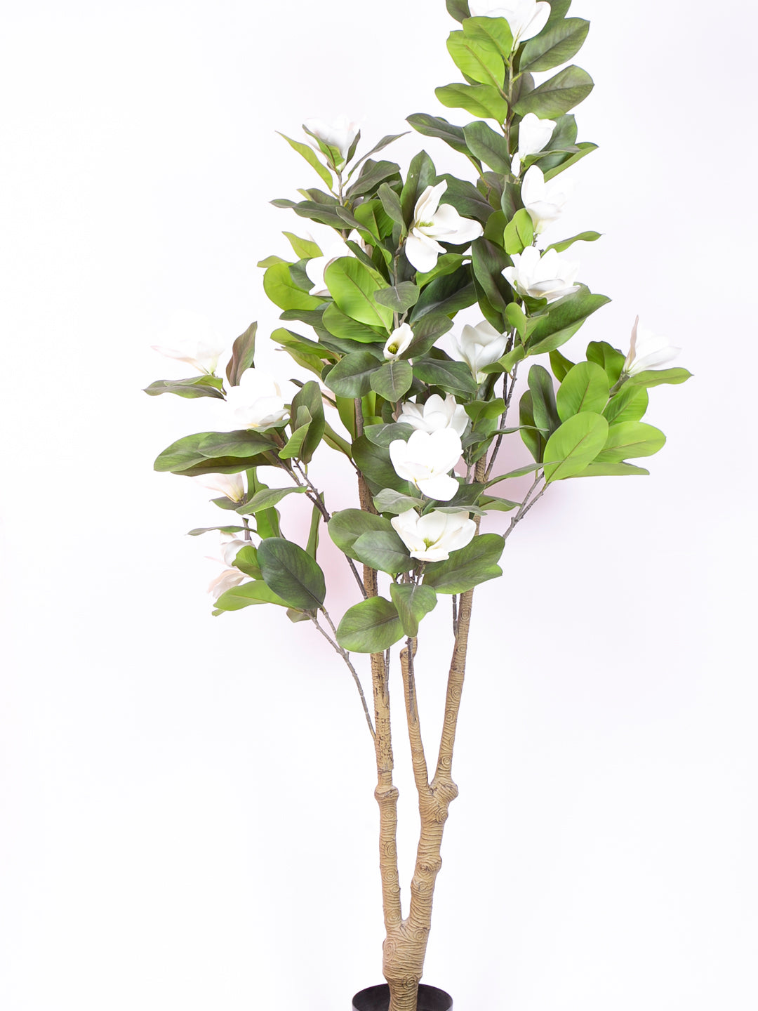 Premium 6 Feet Artificial White Magnolia Flower Plant with Pot -Premium Artificial Plant for Interior Decor for indoor and outdoor use 