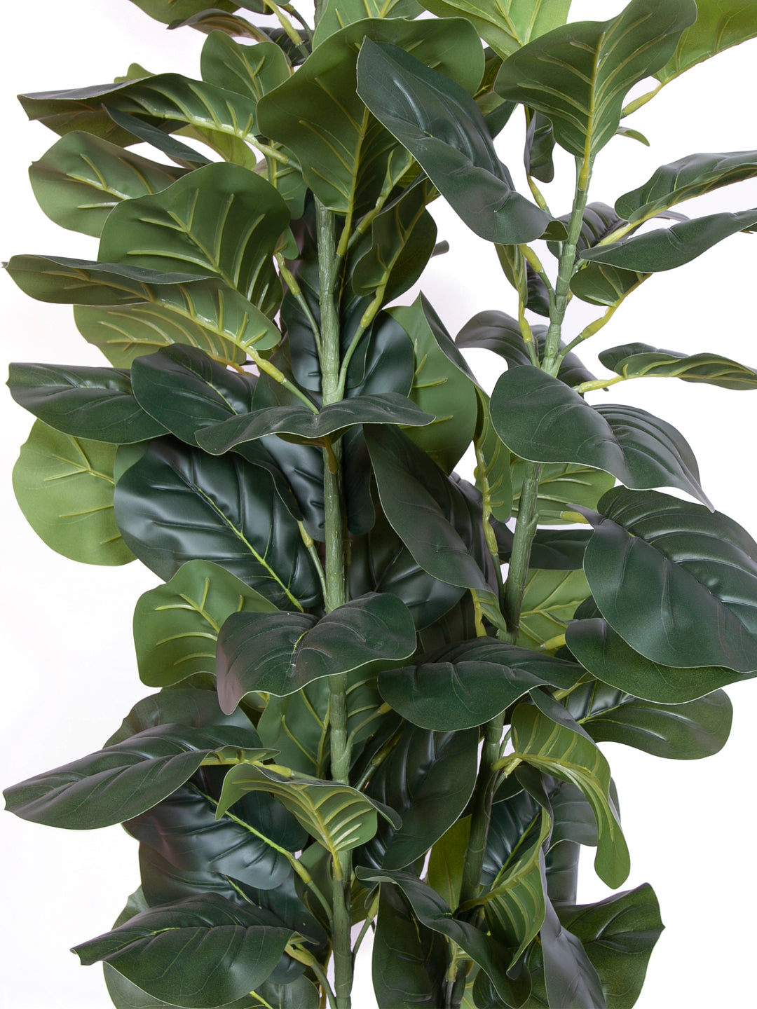 Premium 6 Feet Faux Fiddle Leaf Fig Plant with Pot- Premium Artificial Plant for Home and Office Decor for indoor and outdoor use 
