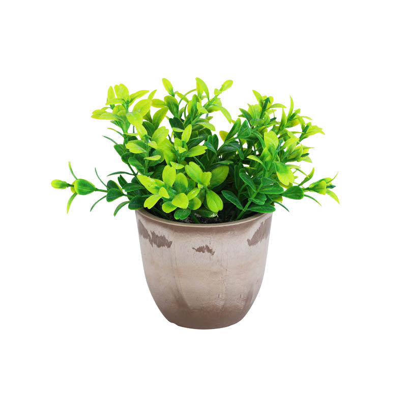 Premium Artificial green potted plants set of 2 0.5 foot for home and office decor for indoor and outdoor use 