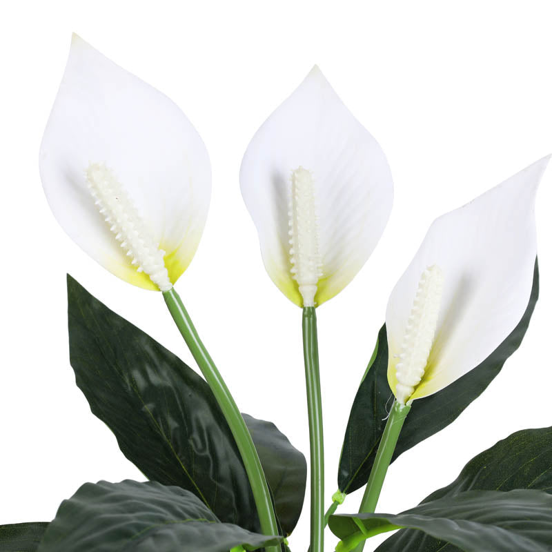 Premium artificial peace lily potted plant with pot 1 foot for home and office decor for indoor and outdoor use 
