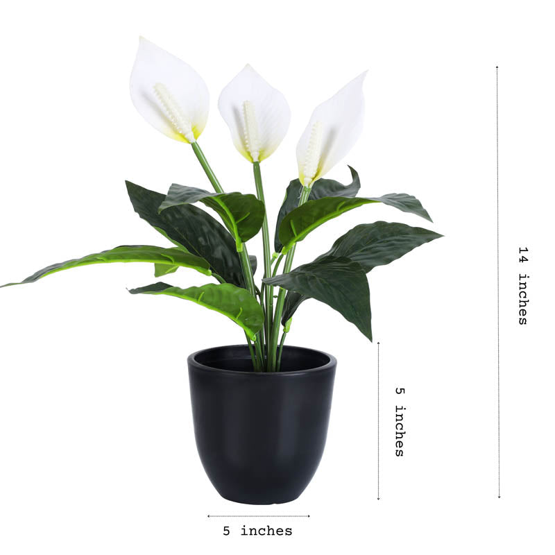 Premium artificial peace lily potted plant with pot 1 foot for home and office decor for indoor and outdoor use 