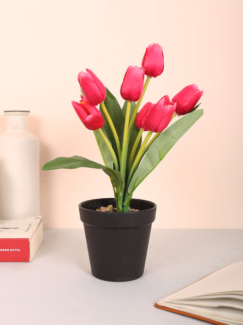 Premium artificial tulip flower potted bonsai plant with pot 32 cm dark pink color for home and office decor for indoor and outdoor use 