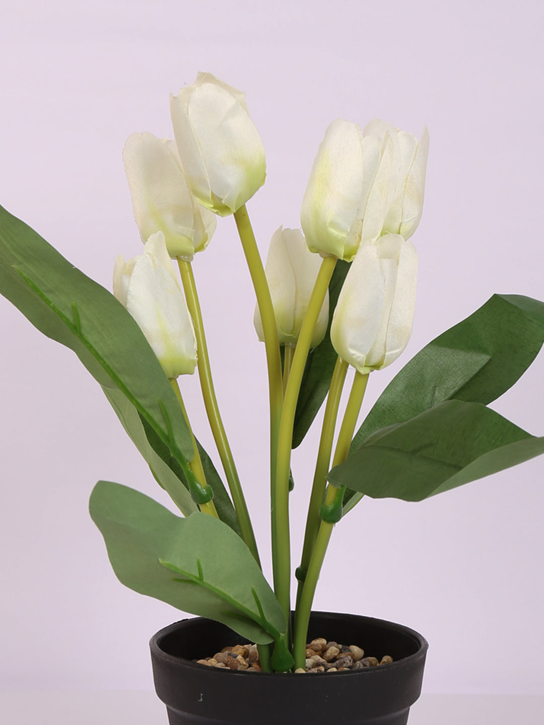 Premium artificial tulip flower potted bonsai plant with pot 32 cm white color for home and office decor for indoor and outdoor use 