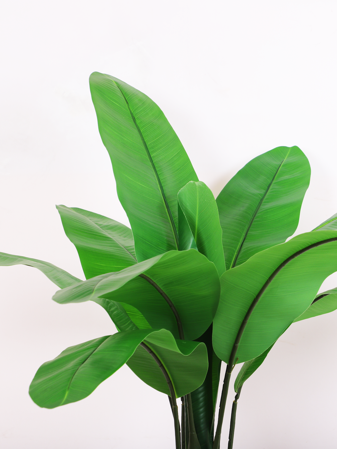 artificial banana plant with pot 5.4 feet for home and office decor 