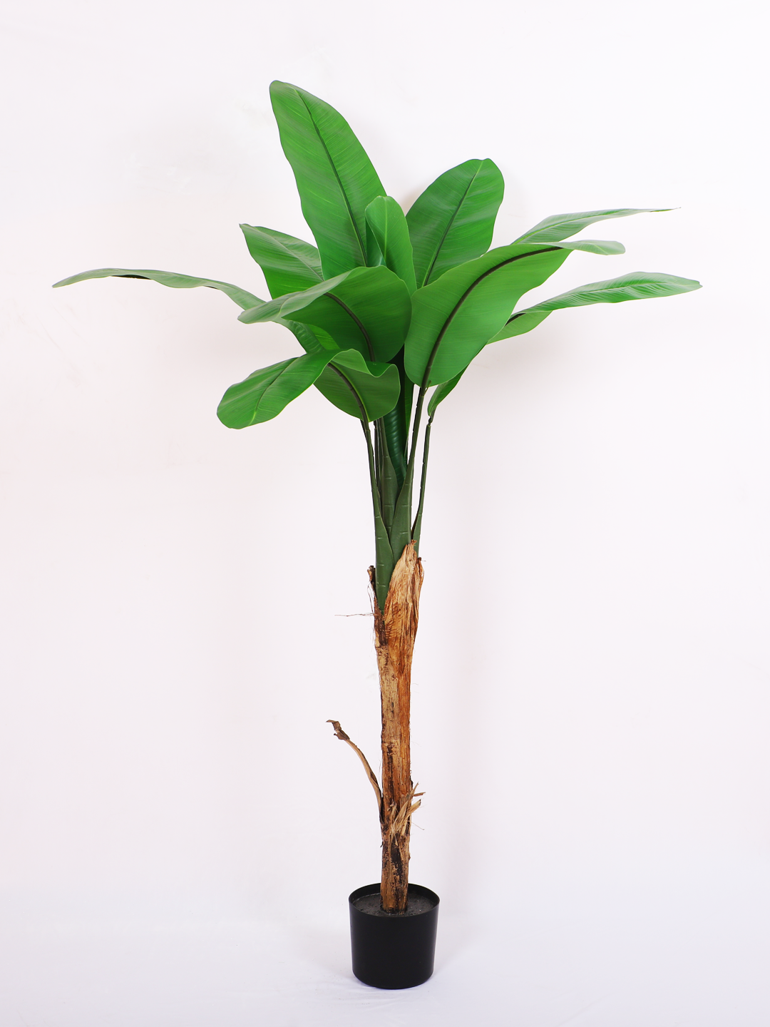 artificial banana plant with pot 5.4 feet for home and office decor 
