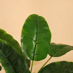 artificial banana plant without pot 2 feet for home and office decor 