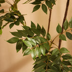 artificial bushy green color plant with pot 5 feet for home and office decor for indoor and outdoor use 