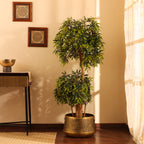artificial ficus plant with pot 5 feet for home and office decor for indoor and outdoor use  