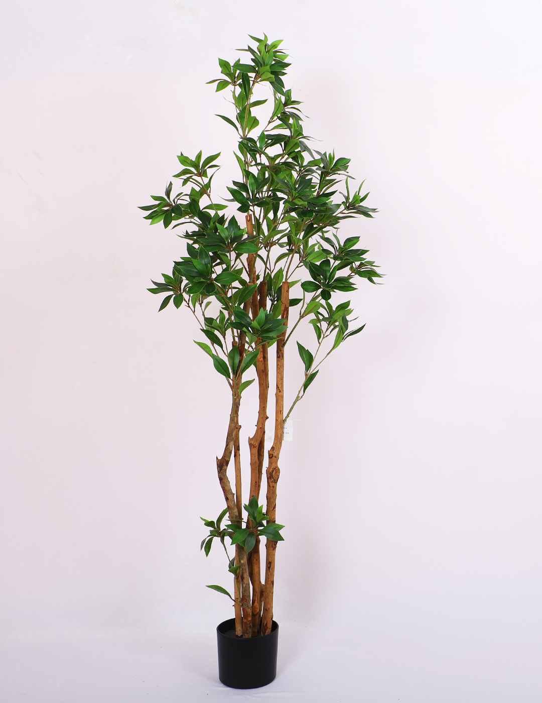 artificial ficus plant with pot 5 feet for home and office decor 