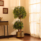 artificial ficus plant with pot 5 feet for home and office decor
