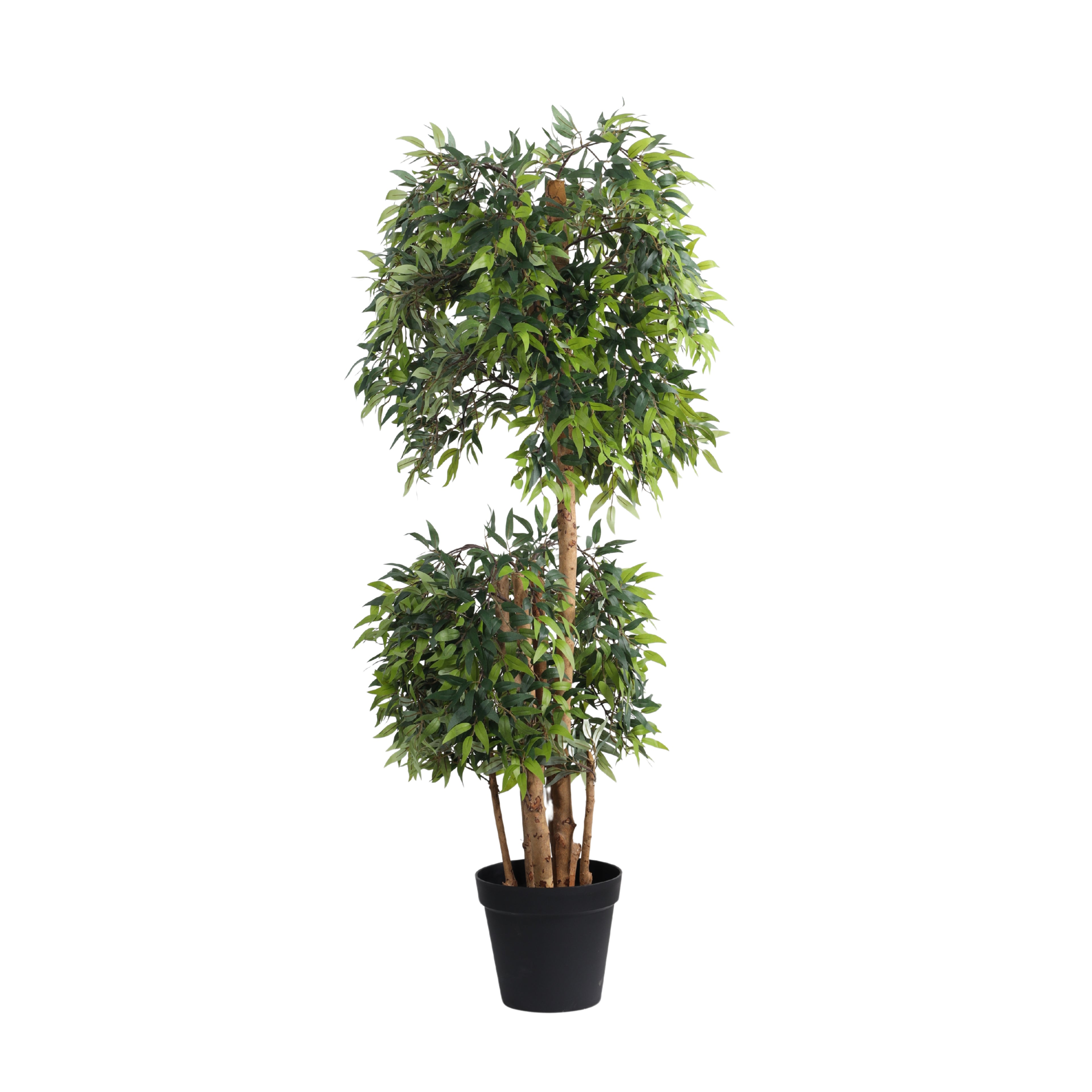 artificial ficus plant with pot 5 feet for home and office decor