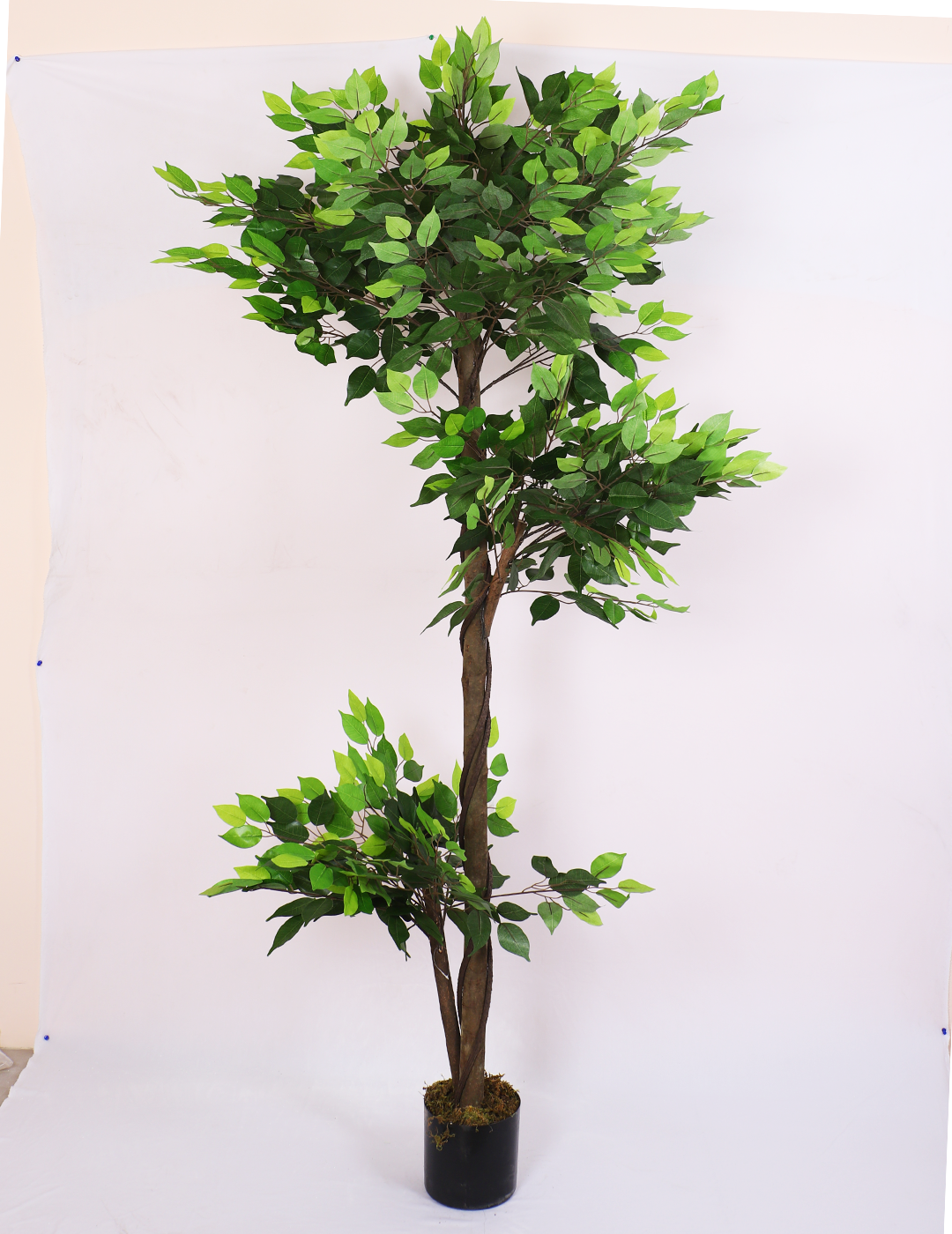 faux ficus plant with pot 6 feet for home and office decor 