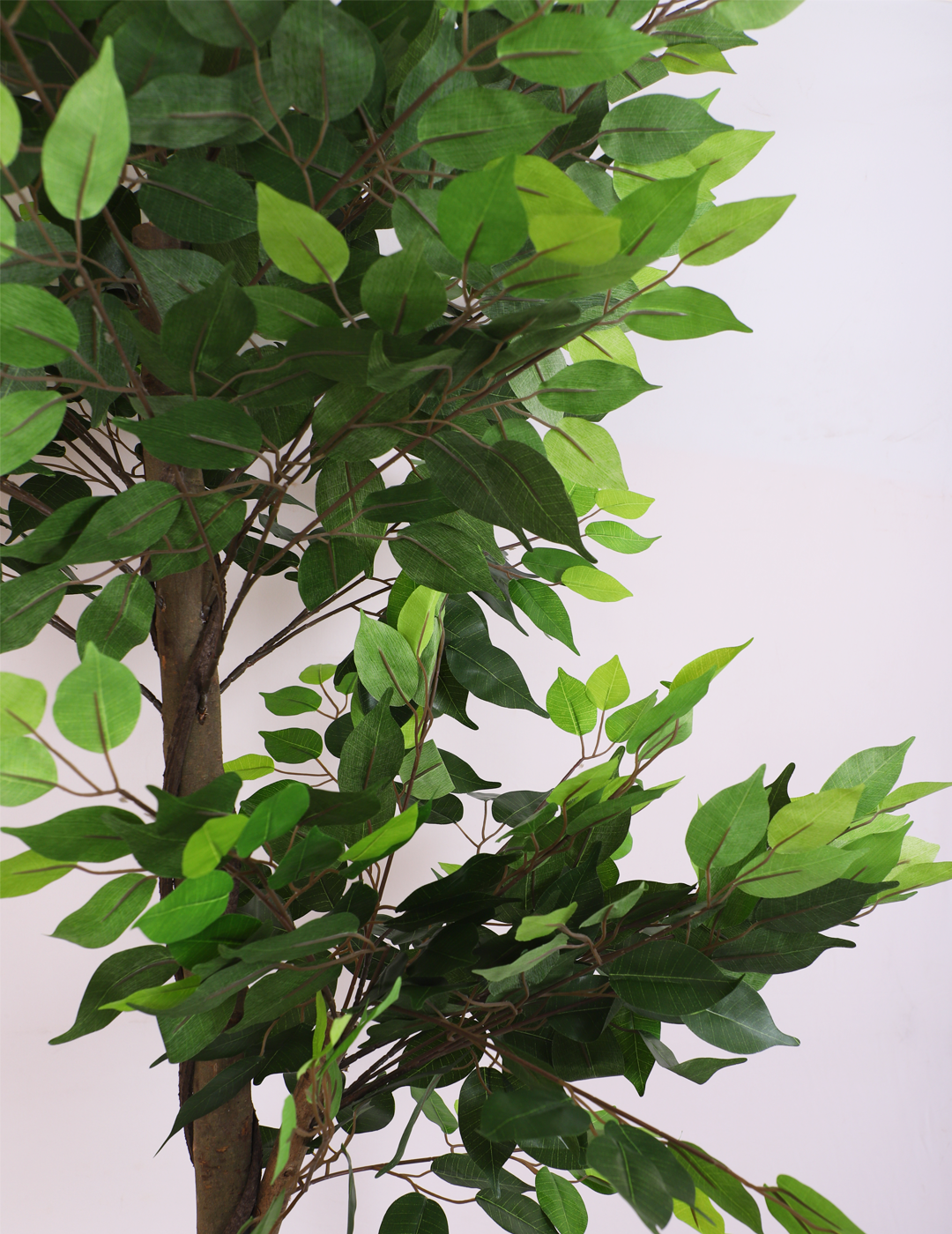 artificial ficus plant with pot 6 feet for home and office decor 