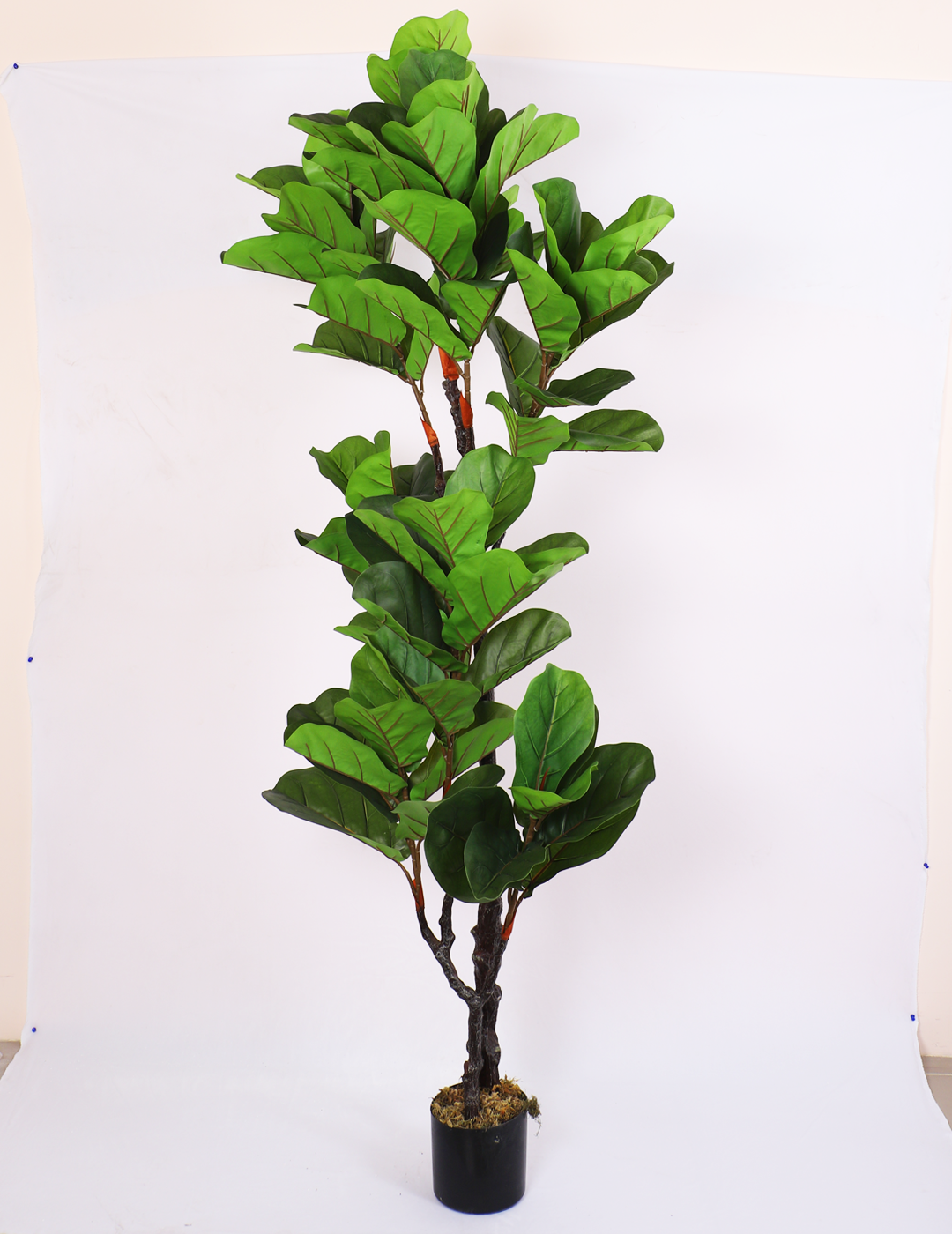 artificial fiddle leaf fig plant with pot 6 feet for home and office decor 