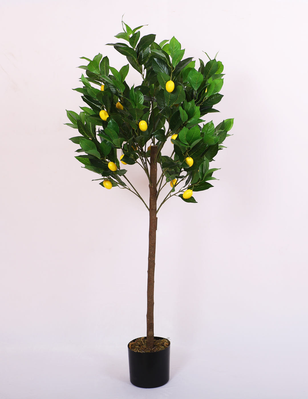 artificial lemon tree plant with pot 4.5 feet for home and office decor 