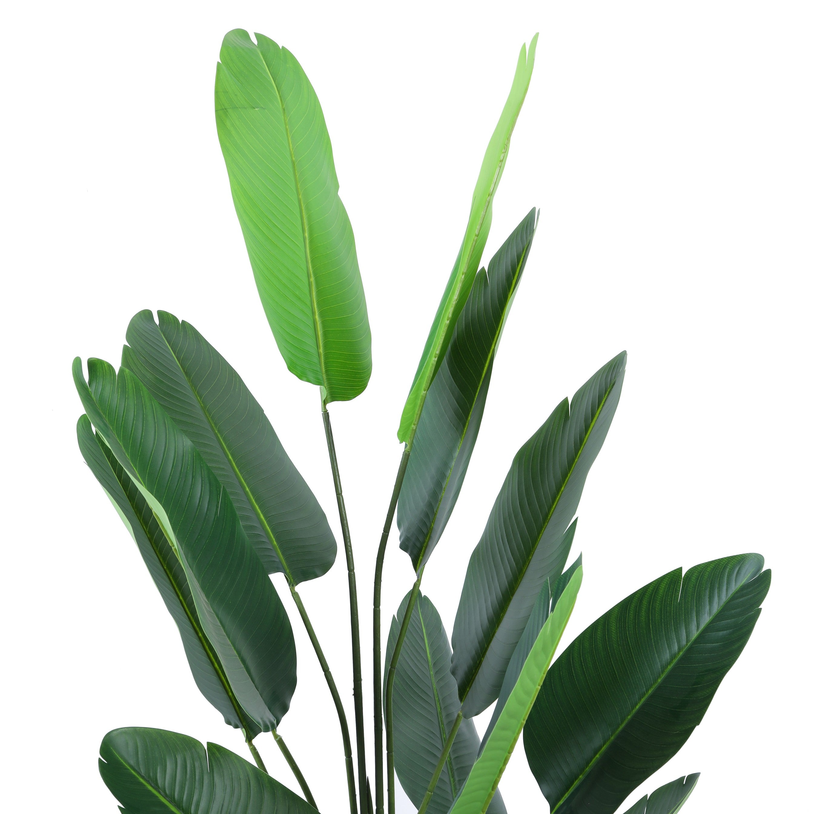 artificial luxe banana plant with black pot 6 feet for home and office decor for indoor and outdoor use