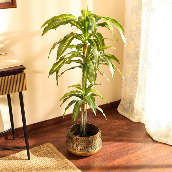 artificial luxe dracaena plant with black pot 4 feet for home and office decor for indoor and outdoor use