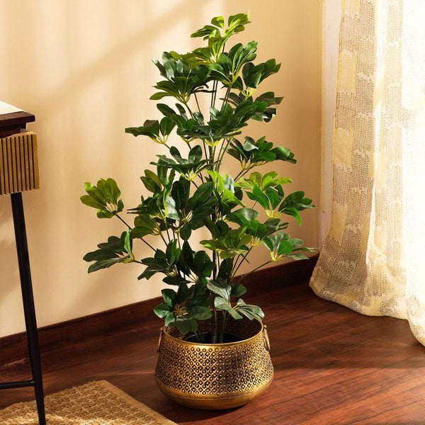 artificial luxe schefflera plant with black pot 3 feet for home and office decor for indoor and outdoor use