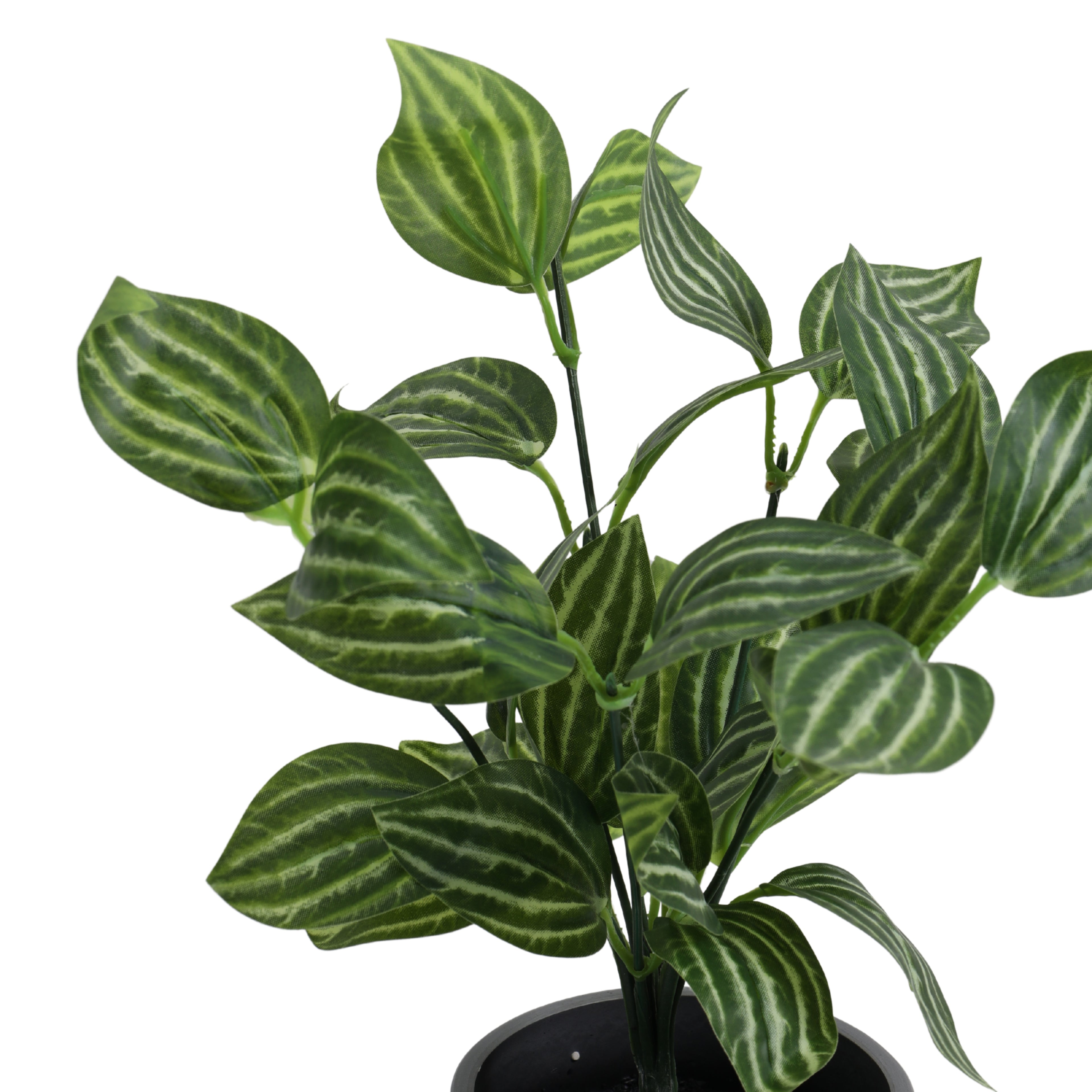 artificial potted fittonia plant with pot 1 foot set of 2 for home and office decor for indoor and outdoor use 