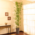 artificial premium bamboo set of 5 sticks plant without pot 8 feet for home and office decor for indoor and outdoor use 