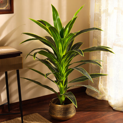 artificial premium dragon plant with black pot 4 feet for home and office decor for indoor and outdoor use
