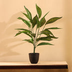 artificial premium potted green croton plant with pot 2 feet for home and office decor for indoor and outdoor use 