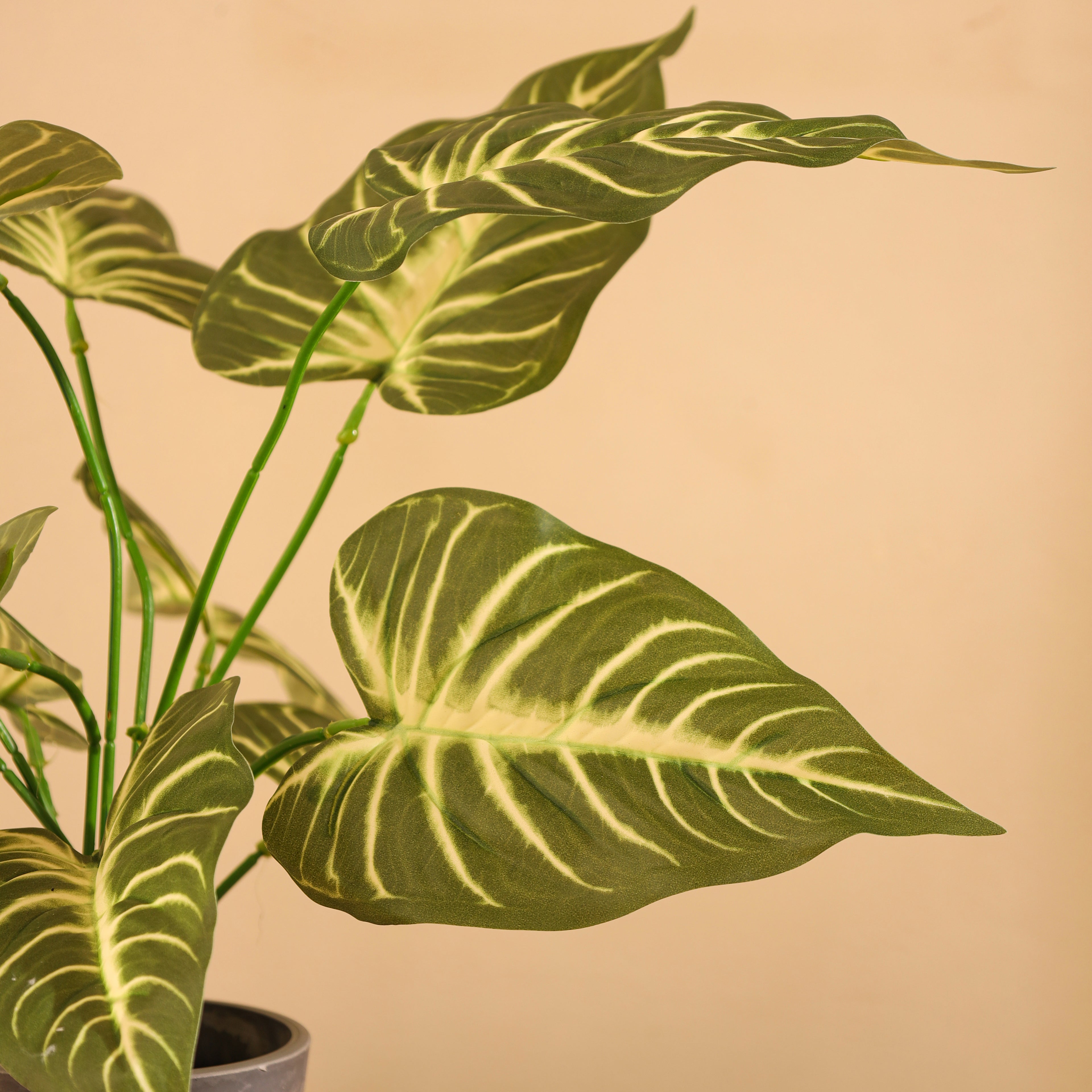 artificial syngonium plant without pot 1.5 feet set of 2 for home and office decor 