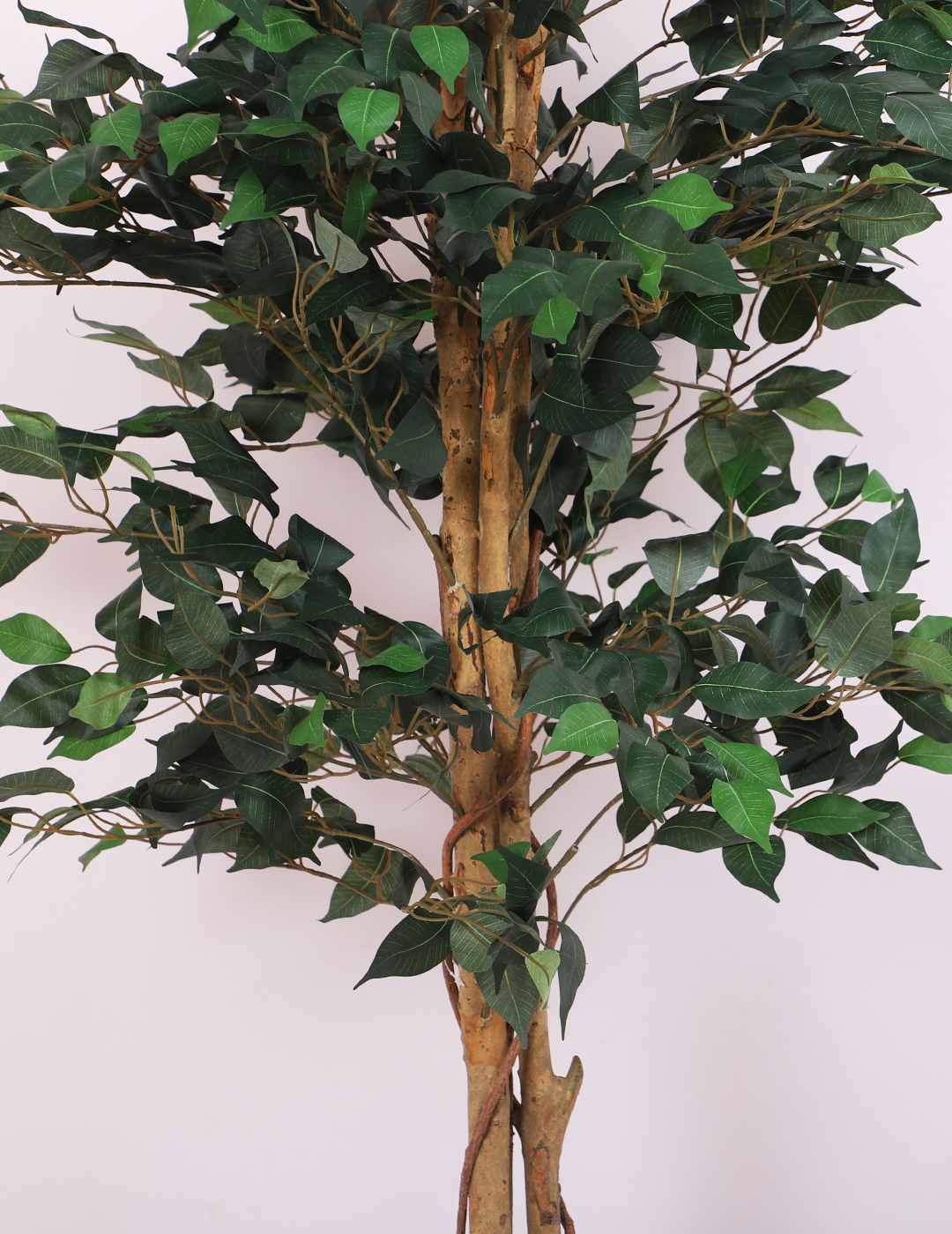 artificial ficus plant with pot 5 feet for home and office decor 