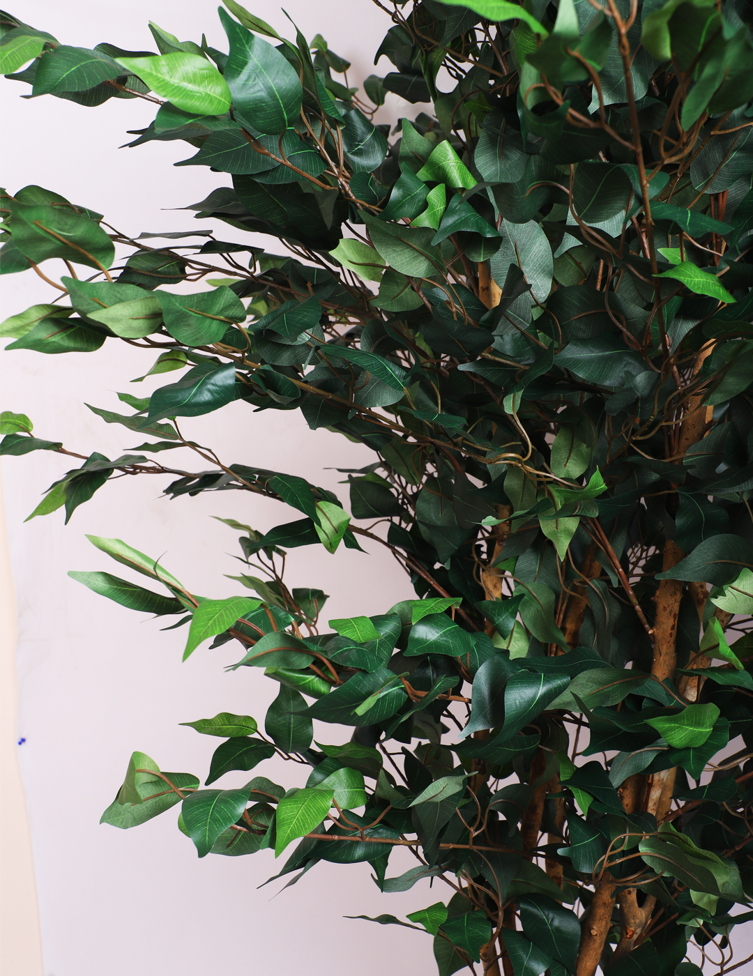 artificial ficus plant with pot 5 feet for home and office decor 